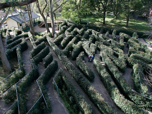 Life-sized maze behind the lookout point