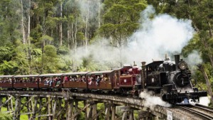 Puffing Billy1