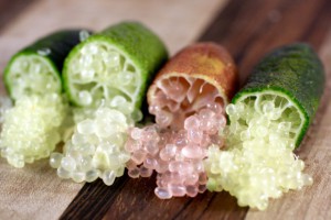 finger lime