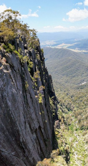 Mt Buffalo VIC